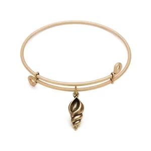 Conch Shell, Bangle Antique Gold Color Finish