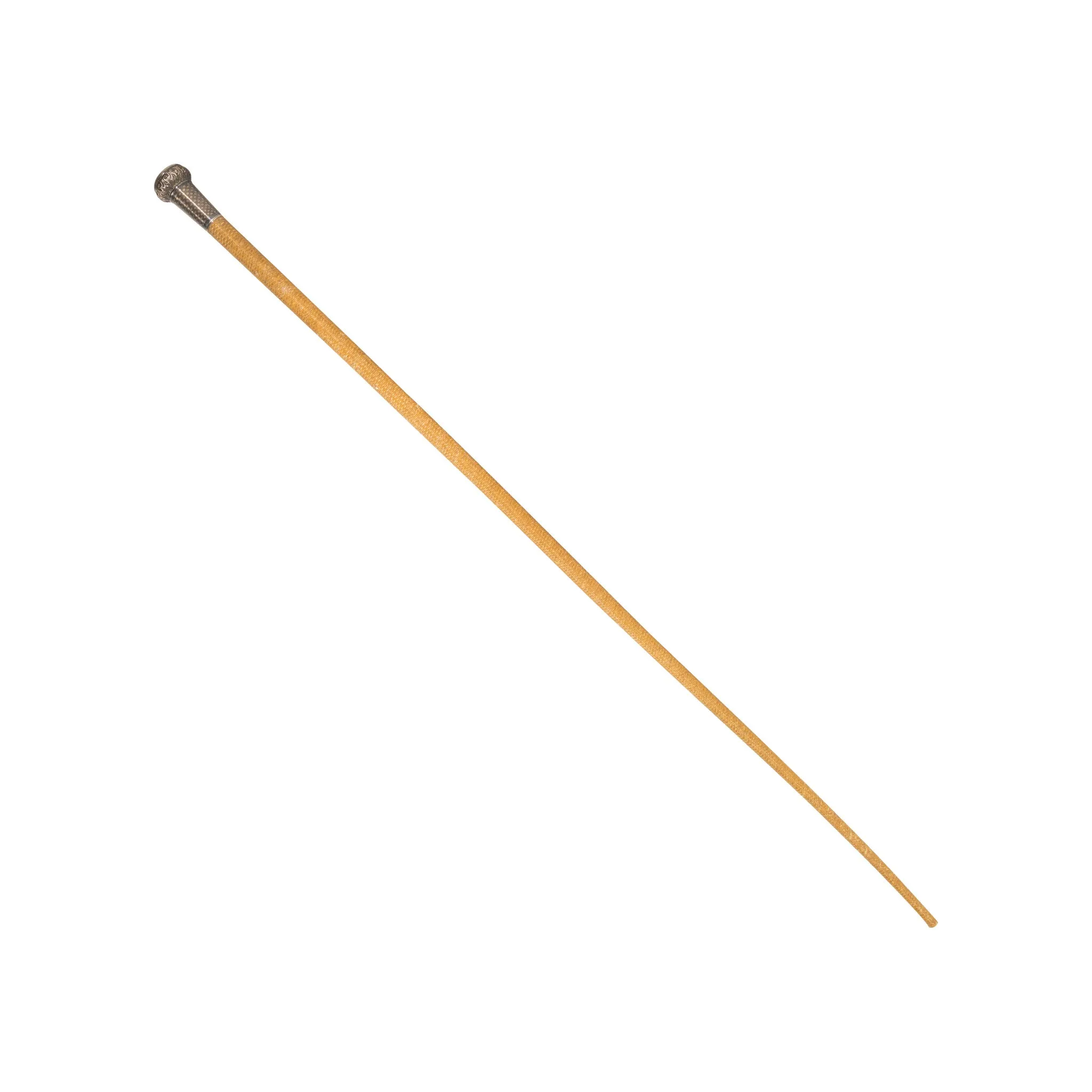 Hanson Fahon Patent PT. Cane Gun