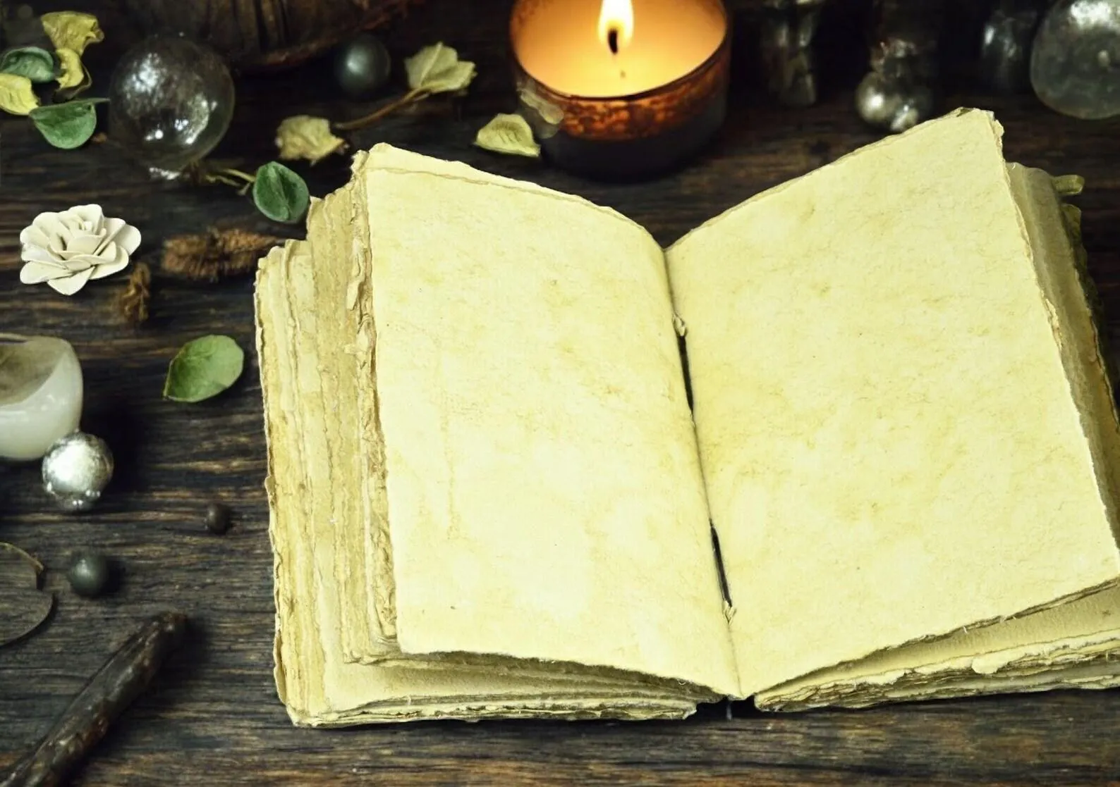 leather journal, Tree of Life Journal