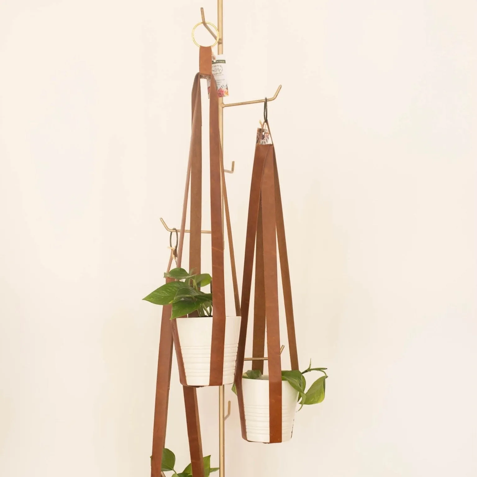Leather Plant Hanger