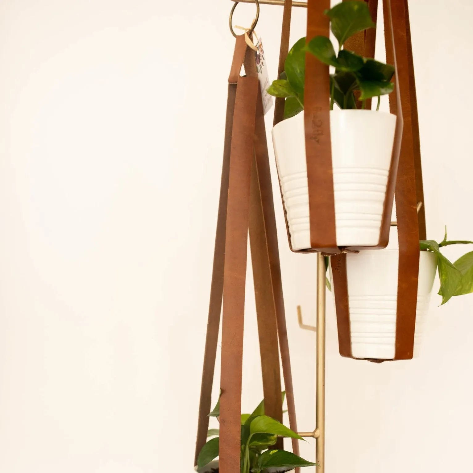 Leather Plant Hanger