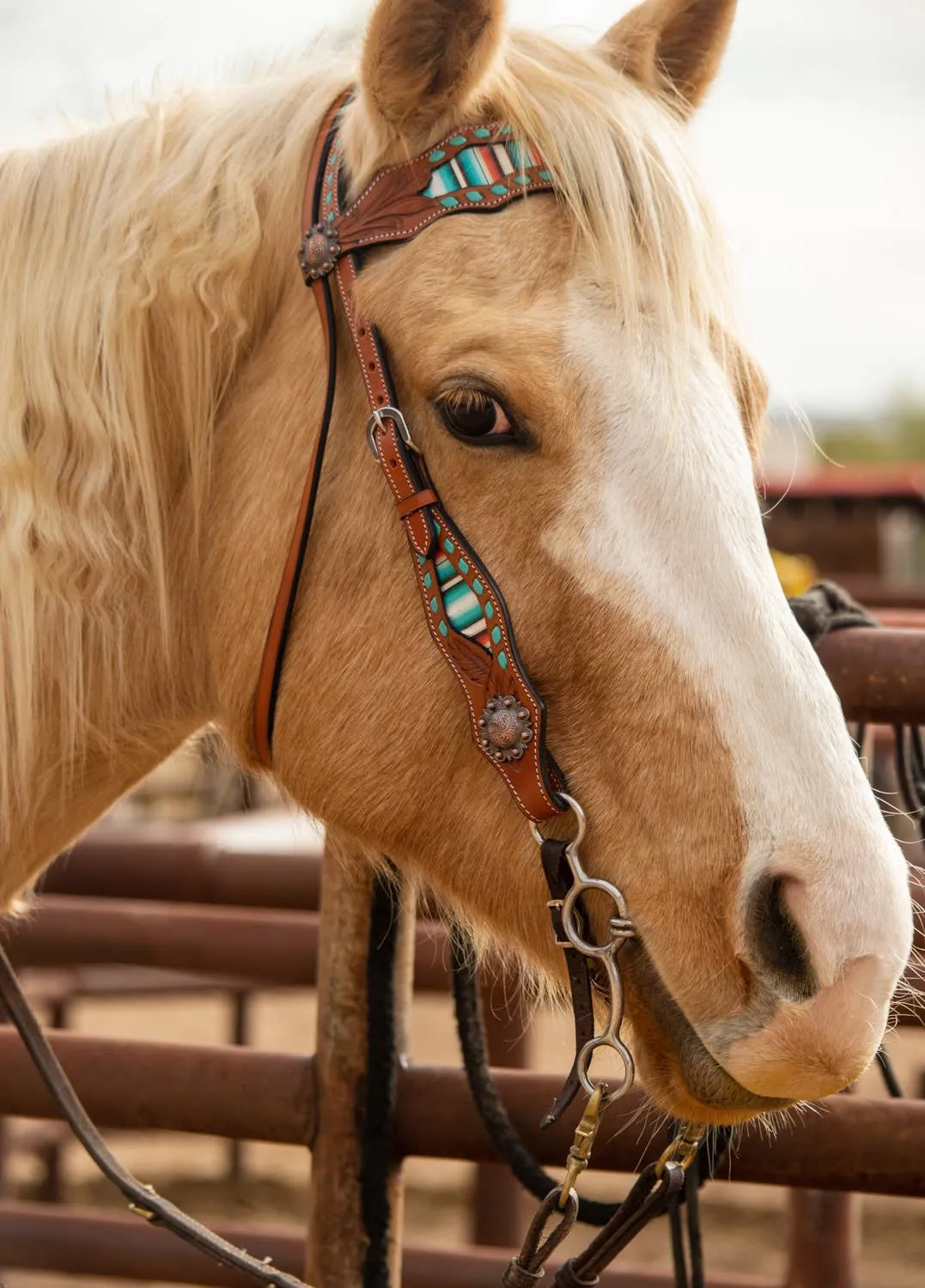 Teal Serape Fringe Headstall and Breast Collar Set