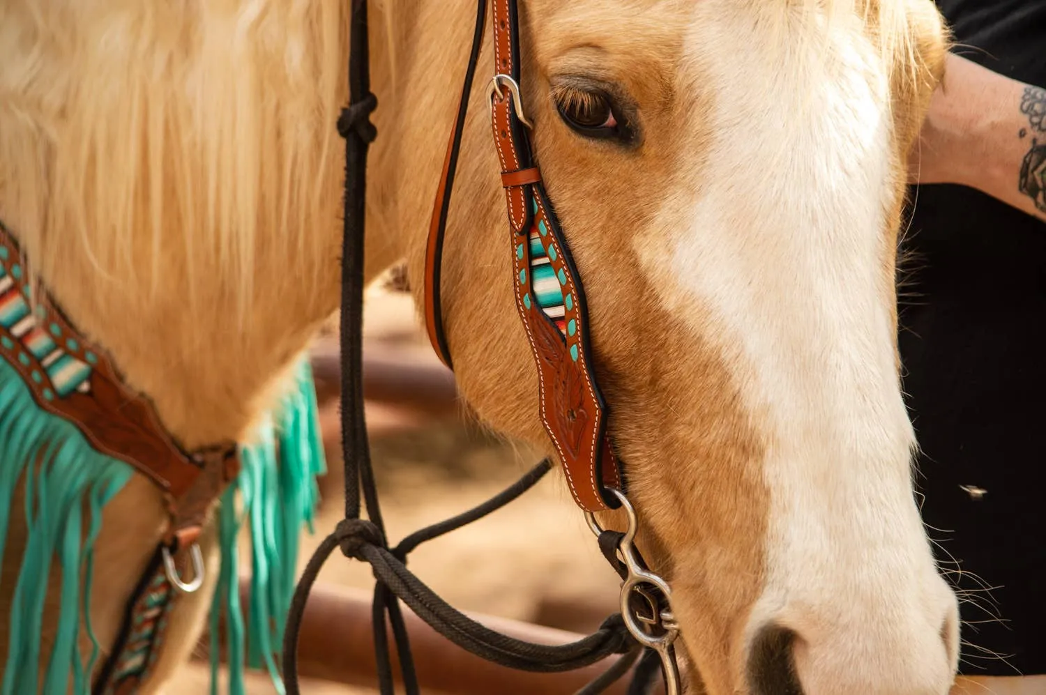 Teal Serape Fringe Headstall and Breast Collar Set
