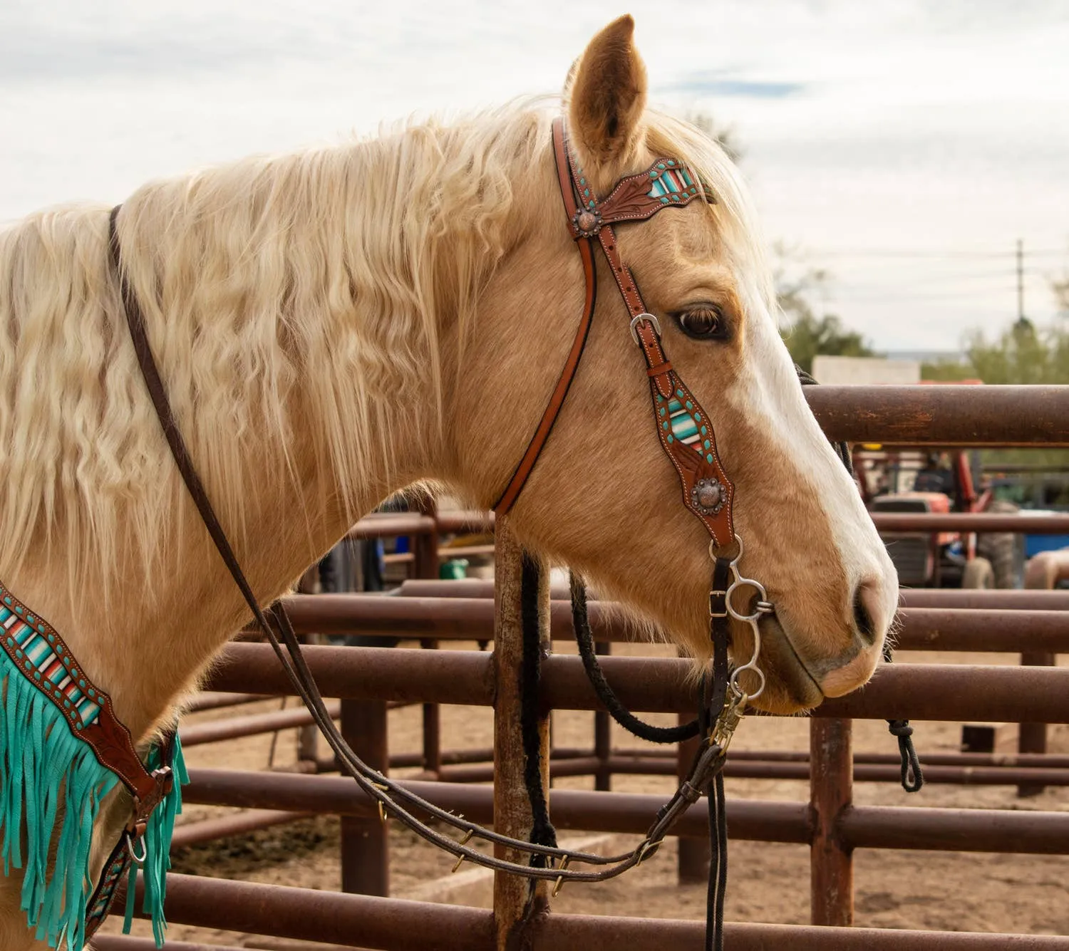 Teal Serape Fringe Headstall and Breast Collar Set