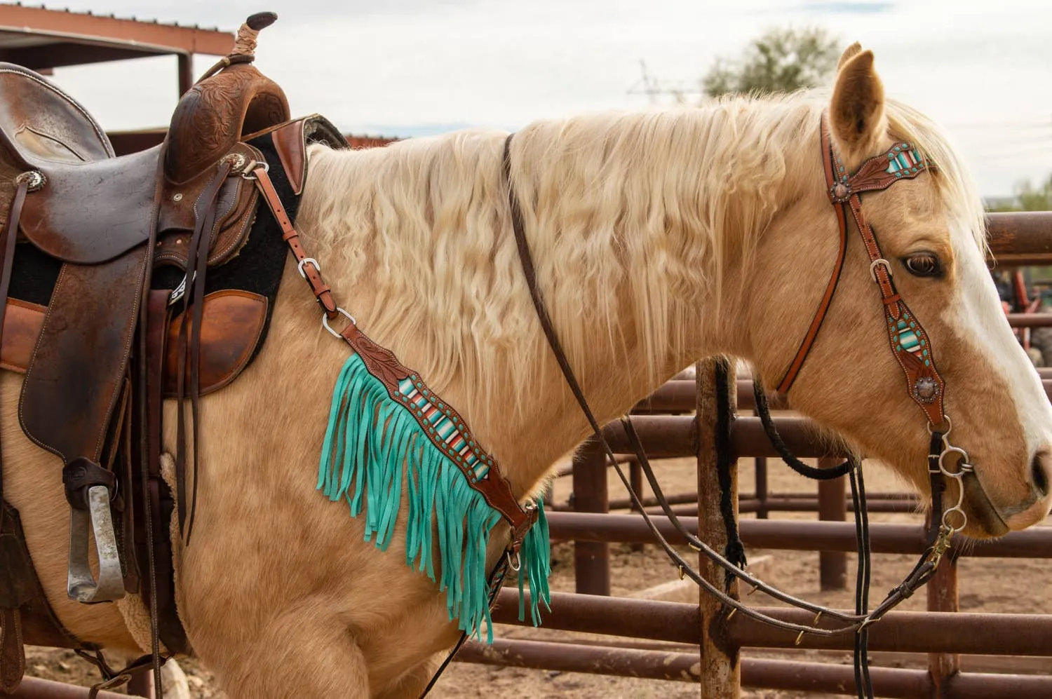 Teal Serape Fringe Headstall and Breast Collar Set