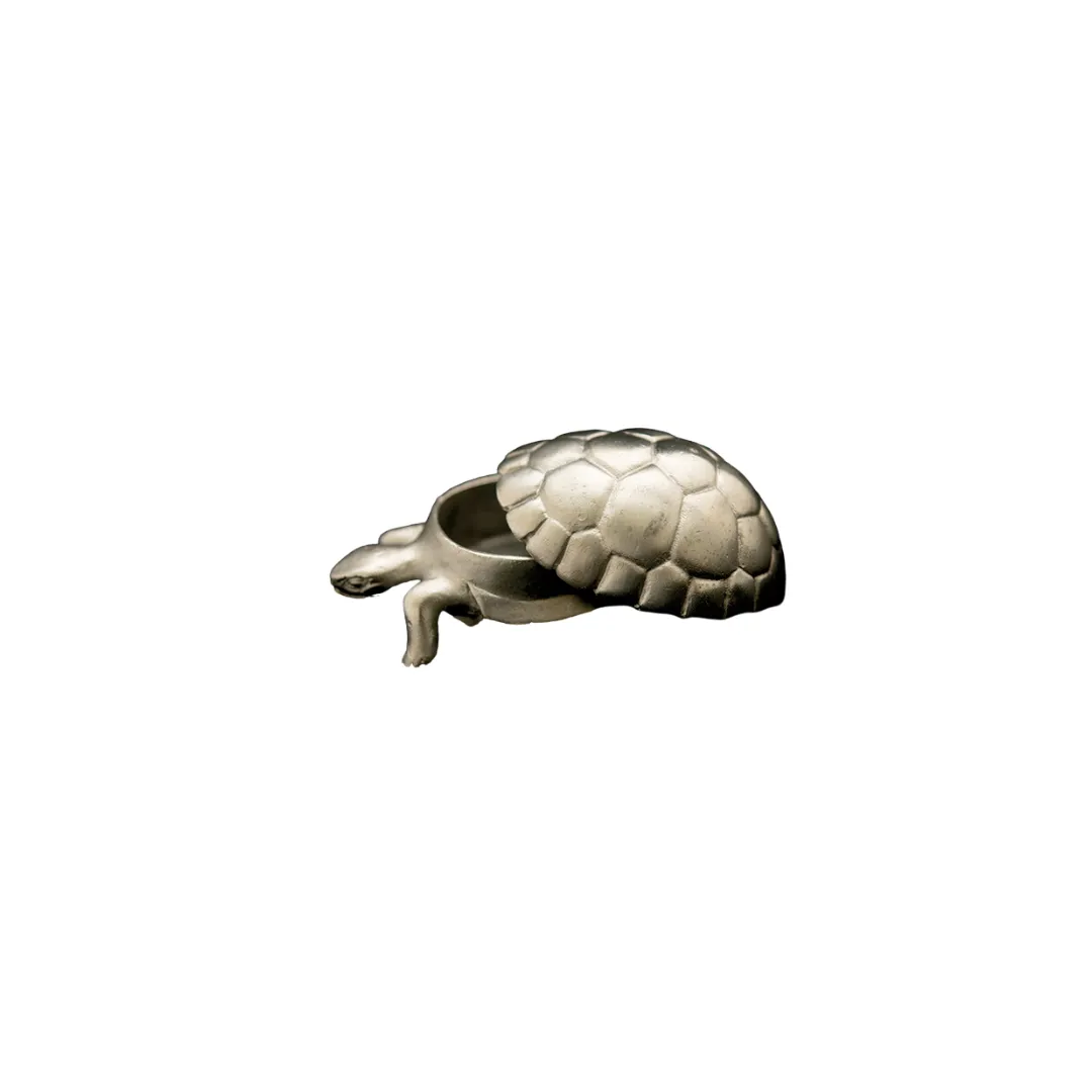 Tortoise Box in Antique Pewter Finish